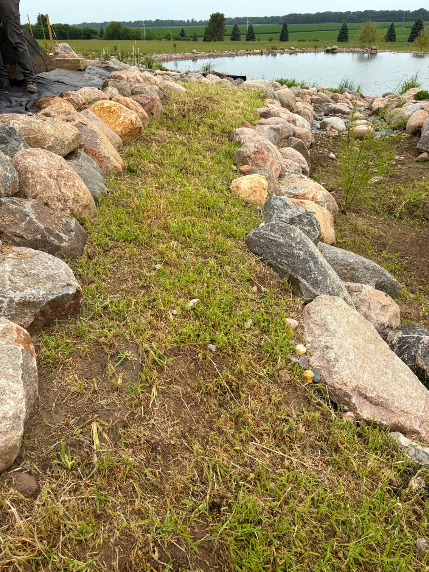 Before: bare grass and dirt between rock edges along a backyard pond in Nebraska